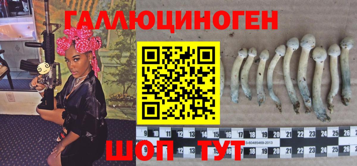 Галлюциногенные грибы Psilocybine cubensis Егорьевск