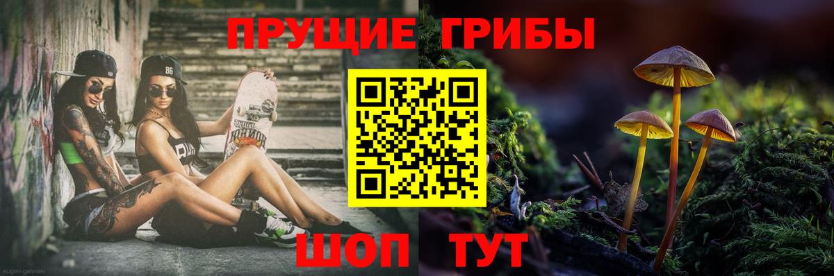 Галлюциногенные грибы MAGIC MUSHROOMS  Вход с VPN  Егорьевск 